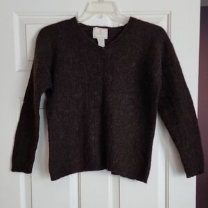 Express Brown V-Neck Sweater